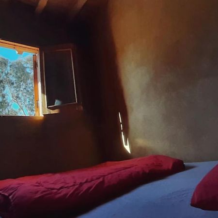 Tunis Camp Al Fayyūm 外观 照片
