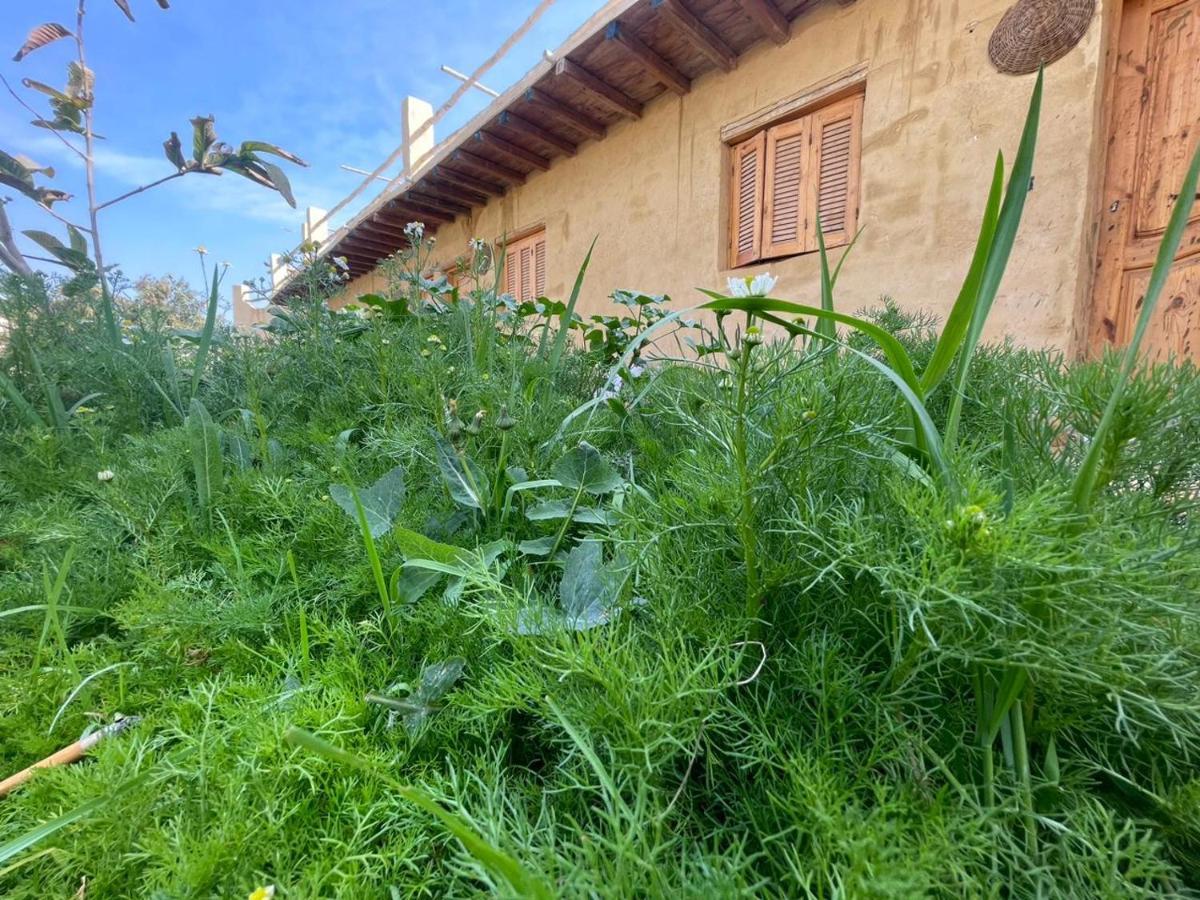 Tunis Camp Al Fayyūm 外观 照片